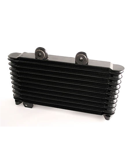 Radiateur Moto Huile Suzuki 1200 GSF Bandit 2001-2005