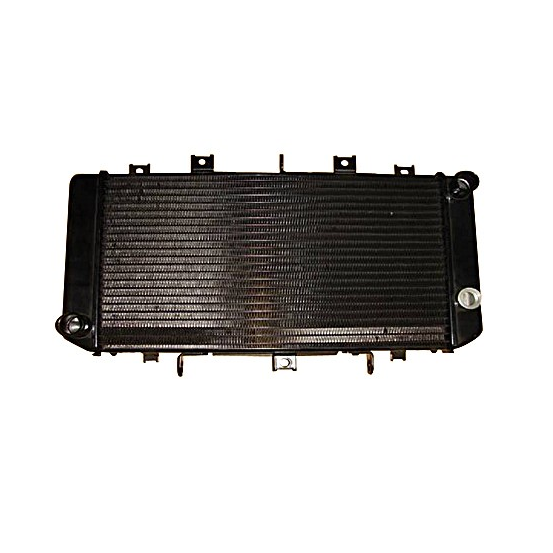 Radiateur Moto Huile Suzuki 600 GSF Bandit 1995-1999