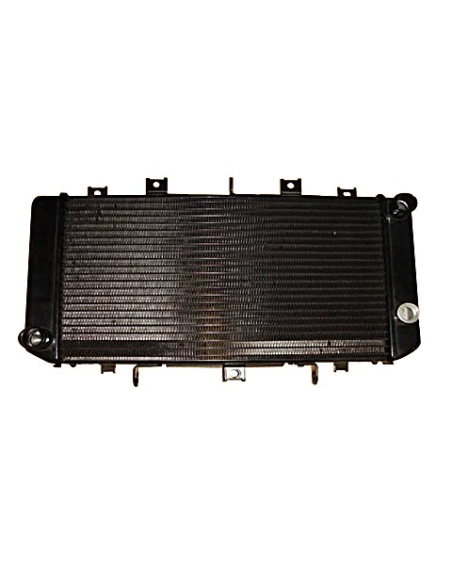 Radiateur Moto Huile Suzuki 600 GSF Bandit 1995-1999