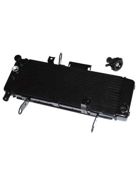Radiateur Moto Eau Suzuki 650 SV 1999-2002