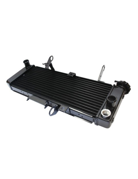 Radiateur Moto Eau Suzuki 650 SV S 2003-2004