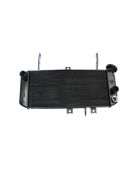 Radiateur Moto Eau Suzuki 650 SV N 2003-2004