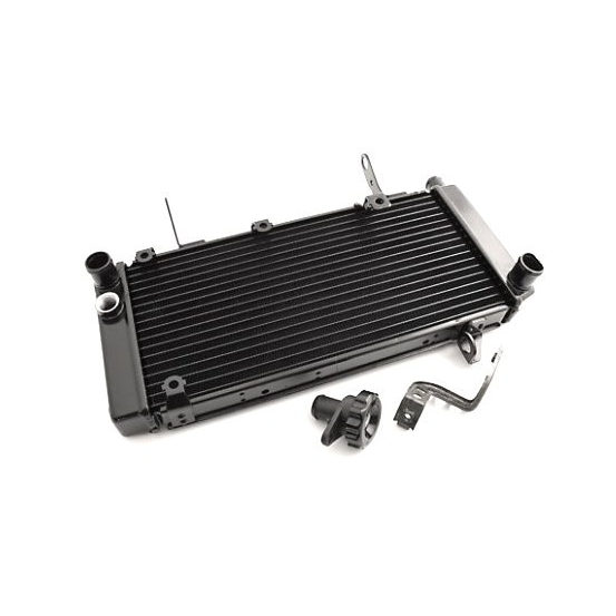Radiateur Moto Huile Yamaha 1300 XJR 1999-2008