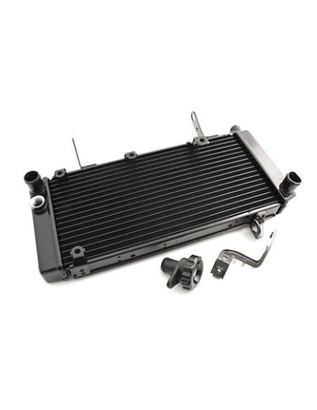 Radiateur Moto Huile Yamaha 1300 XJR 1999-2008