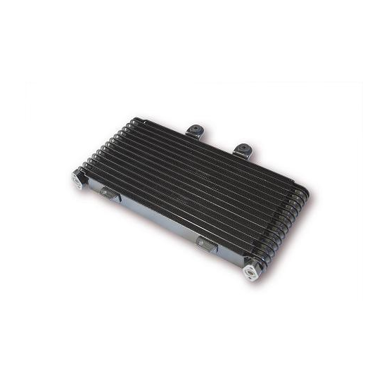 Radiateur Moto Huile Yamaha 900 XJ Diversion 1995-2002