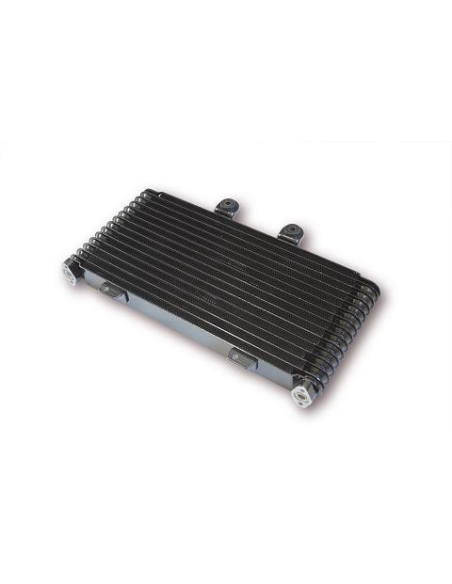 Radiateur Moto Huile Yamaha 900 XJ Diversion 1995-2002