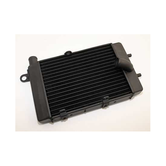 Radiateur Moto Eau Aprilia 1000 Tuono 2002-2005 Gauche