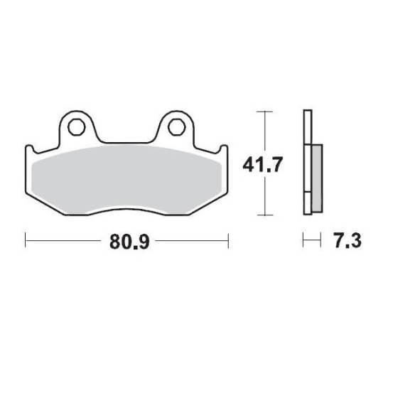 Plaquettes de frein MOTO MASTER métal fritté 090411 SinterPro Racing