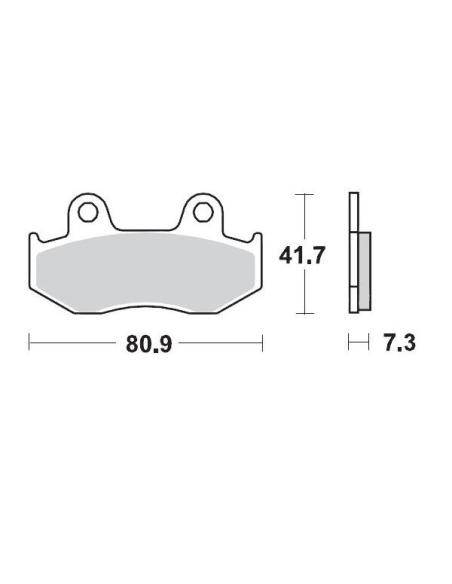 Plaquettes de frein MOTO MASTER métal fritté 090411 SinterPro Racing