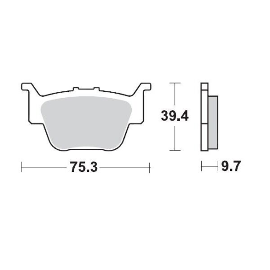 Plaquettes de frein MOTO MASTER métal fritté 095111 SinterPro Racing