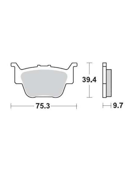 Plaquettes de frein MOTO MASTER métal fritté 095111 SinterPro Racing