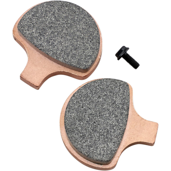 Plaquettes de frein Evo Sinter SBS - 579H.HS