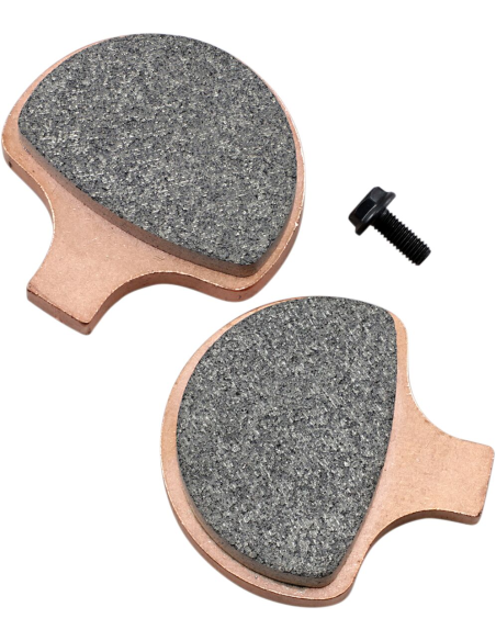 Plaquettes de frein Evo Sinter SBS - 579H.HS
