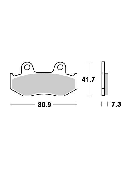 Plaquettes de frein MOTO MASTER métal fritté 090421 Nitro