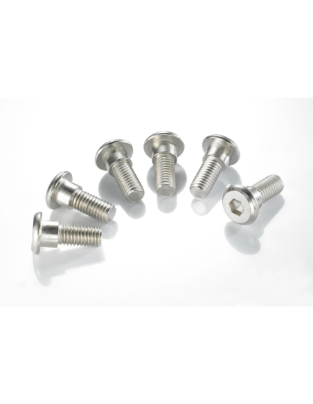 Vis de fixation pour disque de frein TRW