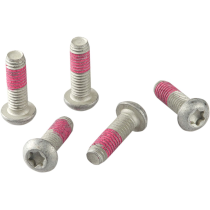 Kit de vis de fixation pour disque de frein TRW