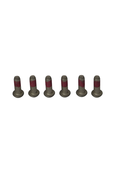 Kit de vis de fixation pour disque de frein TRW - Voir motos compatibles