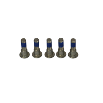 Kit de vis de fixation pour disque de frein TRW - Voir motos compatibles
