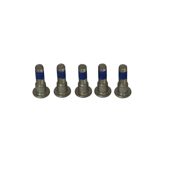 Kit de vis de fixation pour disque de frein TRW - Voir motos compatibles