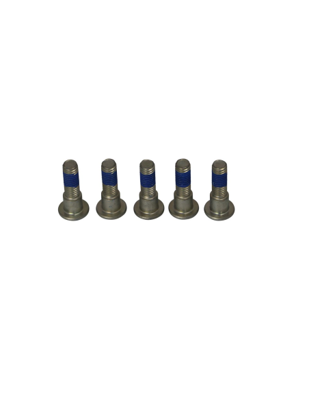 Kit de vis de fixation pour disque de frein TRW - Voir motos compatibles