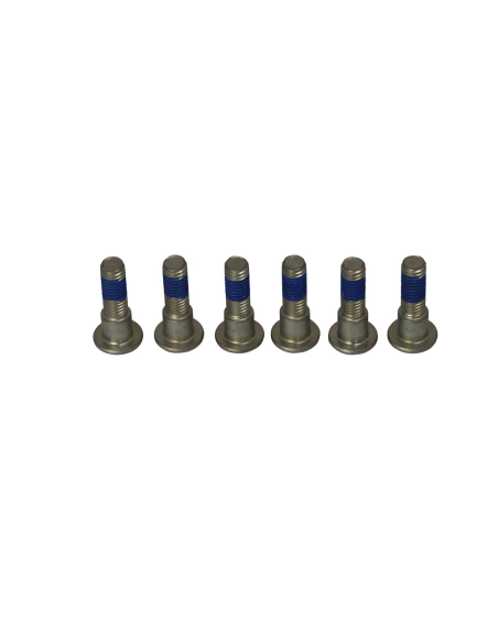 Kit de vis de fixation pour disque de frein TRW - Voir motos compatibles