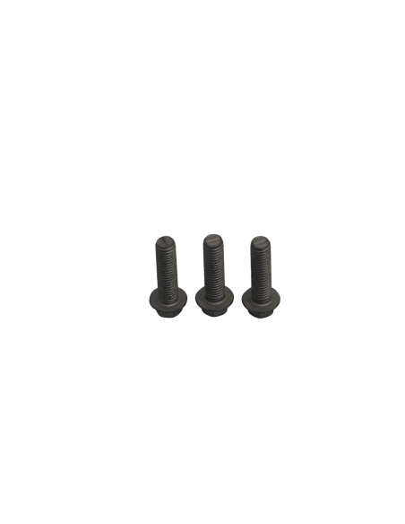 Kit de vis de fixation pour disque de frein TRW - Voir motos compatibles
