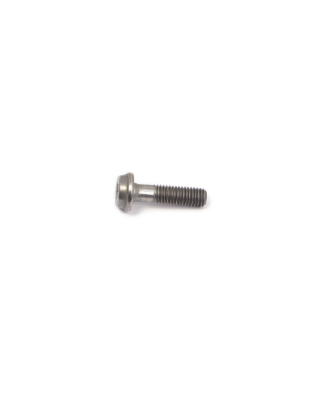 Vis de remplacement AKRAPOVIC P-FB167