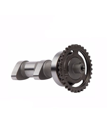 Arbre à cames échappement - stage 1 - HOTCAMS - SUZUKI 450 RMZ 2008-14