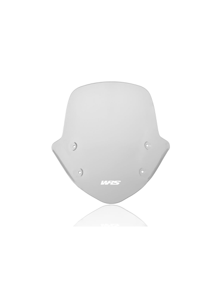 Bulle Wrs Bmw R 1250 R ABS Fumé clair 39cm