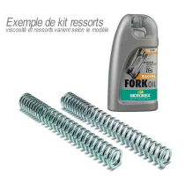 Kit Ressorts de Fourche BITUBO HONDA 600 CBR RR 2003-2004