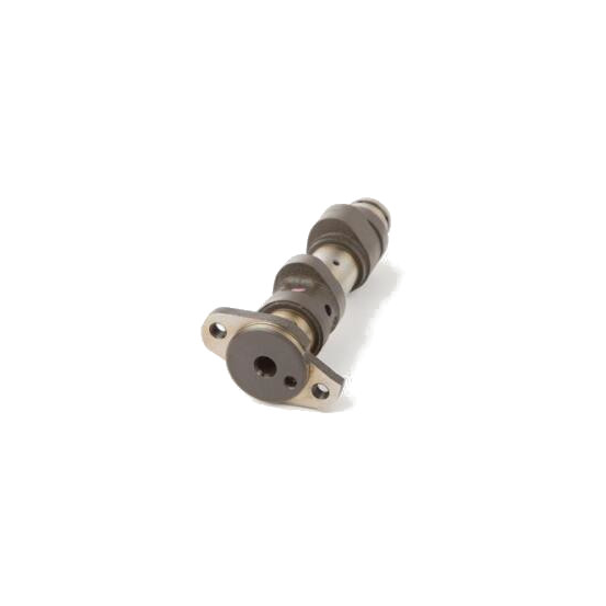 Arbre à cames - stage 2 - HOTCAMS - YAMAHA Raptor 660 2001-05