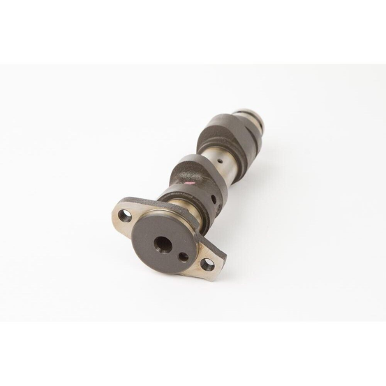 Arbre à cames - stage 3 - HOTCAMS - YAMAHA Raptor 660 2001-05