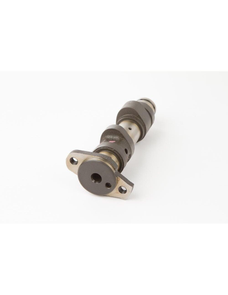 Arbre à cames - stage 3 - HOTCAMS - YAMAHA Raptor 660 2001-05