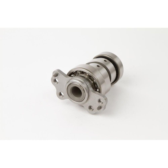 Arbre à cames - stage 2 - HOTCAMS - YAMAHA Raptor 700 2006-08