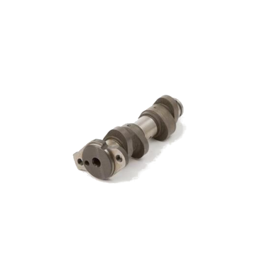 Arbre à cames - stage 1 - HOTCAMS - YAMAHA 660 Grizzly 2002-08 / 660 Rhino 2004-07