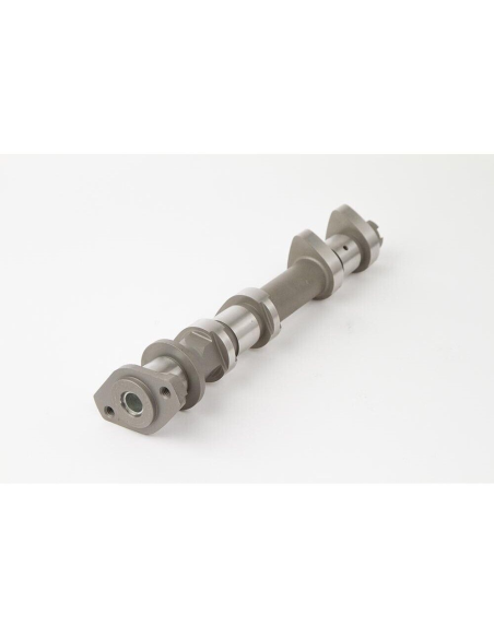 Arbre à cames admission - stage 2 - HOTCAMS - POLARIS RZR XP 900 2001-2015