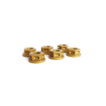 Kit de 6 écrous de couronne M8 x 1,25 EVOTECH