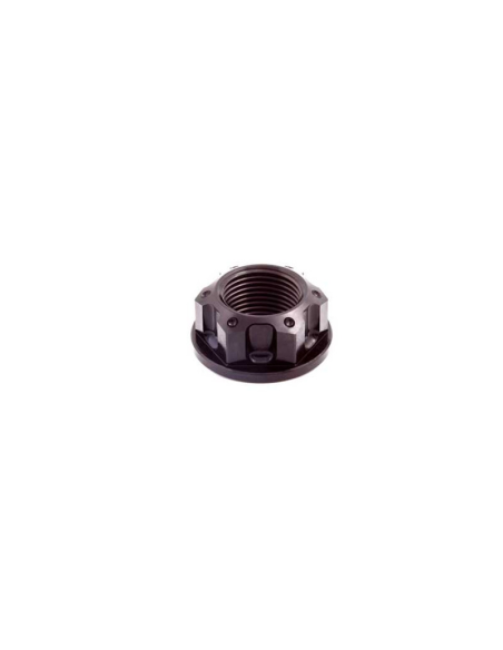 Ecrou d'axe de roue / bras oscillant M20 x 1,5 EVOTECH