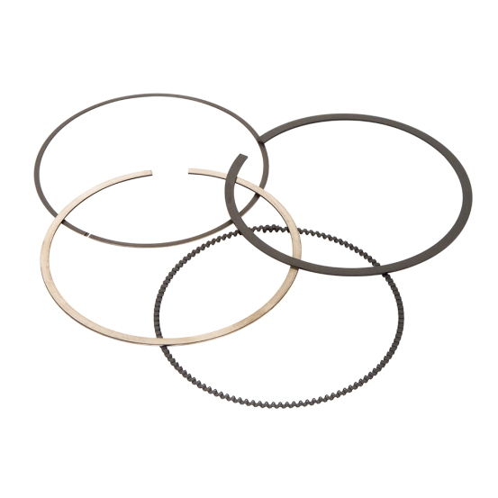 Segments de rechange VERTEX 450 LT-R 2006-2012