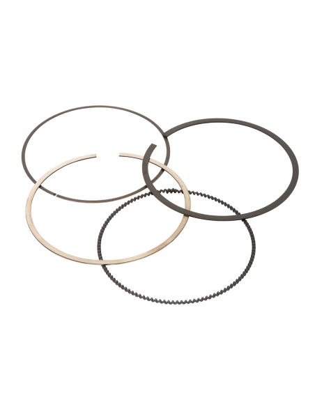 Segments de rechange VERTEX 450 LT-R 2006-2012