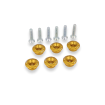 Kit de 6 coupelles de ressort d'embrayage à tête sphérique H4.1 + visserie CNC RACING - DUCATI 1098 / 1198