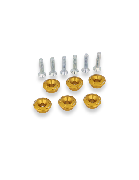 Kit de 6 coupelles de ressort d'embrayage à tête sphérique H4.1 + visserie CNC RACING - DUCATI 1098 / 1198