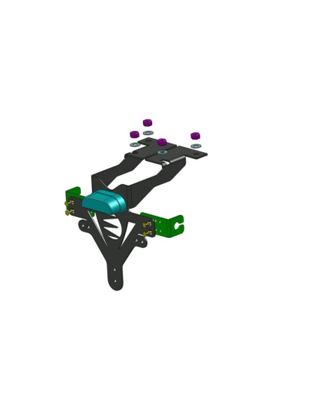 Support Plaque Moto Kawasaki Z 300 2013-2017