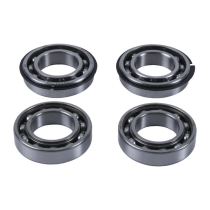 Kit roulements de balancier d'équilibrage HOT RODS Polaris Scrambler 1000 XP 2014-2021 Sportsman 850 2013-2015