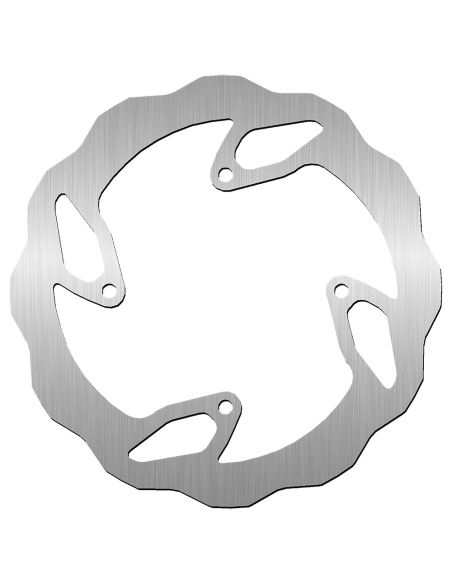 Disque de frein arrière SBS TM