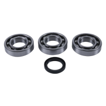 Kit roulements vilebrequin + spys HOT RODS POLARIS ATP 500