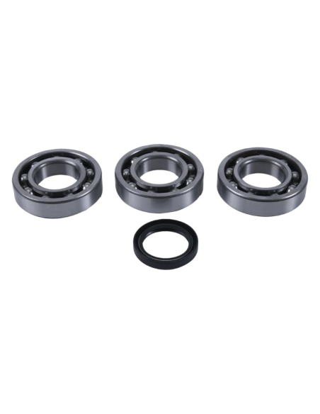 Kit roulements vilebrequin + spys HOT RODS POLARIS ATP 500
