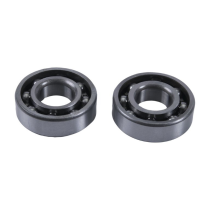 Kit roulements de balancier d'équilibrage HOT RODS Polaris Sportsman 500 2010-2014