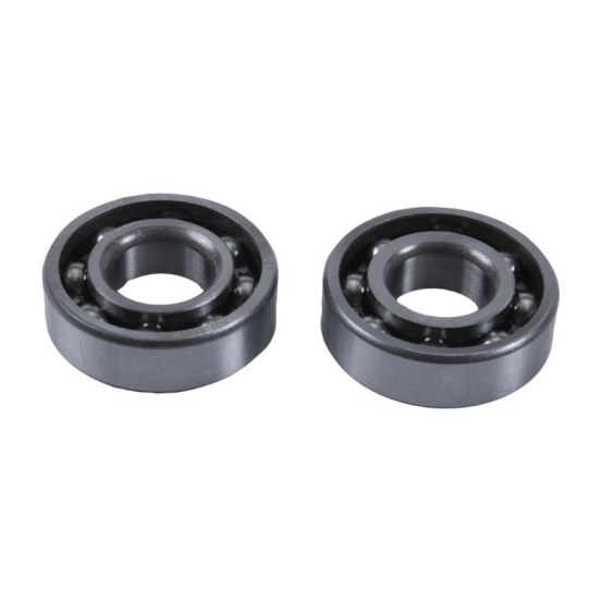 Kit roulements de balancier d'équilibrage HOT RODS Polaris Sportsman 500 2010-2014