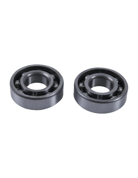 Kit roulements de balancier d'équilibrage HOT RODS Polaris Sportsman 500 2010-2014